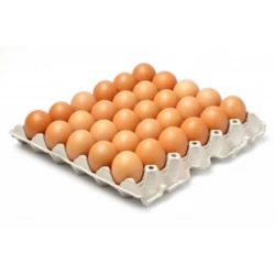 OEUFS AGRO INVEST X30
